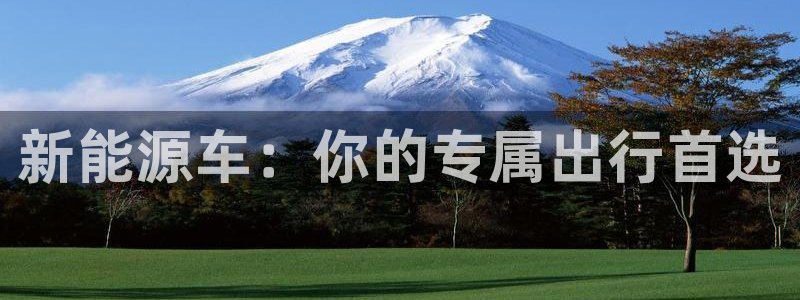 宝新gg:新能源车:你的专属出行首选