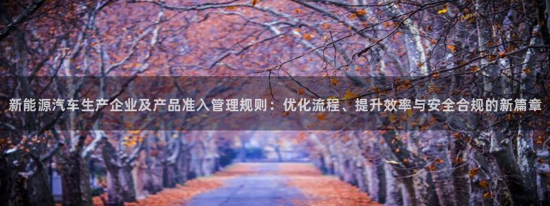 新宝gg手机助手:新能源汽车生产企业及产品准入管理规则:优化