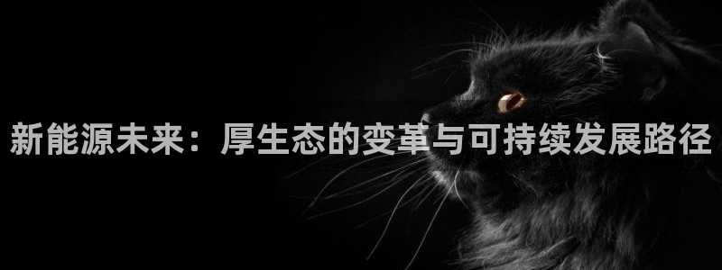 宝新gg注册:新能源未来:厚生态的变革与可持续发展路径