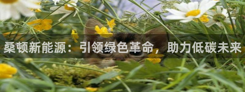 新宝gg返点:桑顿新能源:引领绿色革命,助力低碳未来