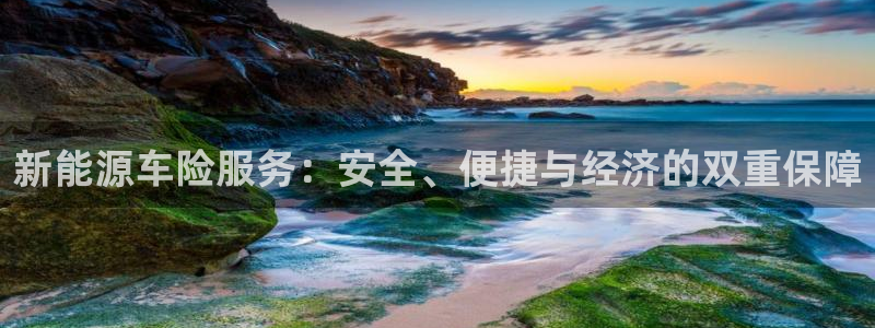 新宝gg怎样代理:新能源车险服务:安全、便捷与经济的双重保障