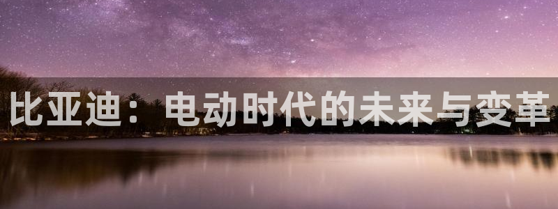 新宝.gg:比亚迪:电动时代的未来与变革