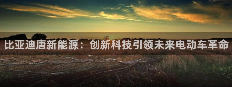 新宝gg 创造奇迹:比亚迪唐新能源:创新科技引领未来电动车革