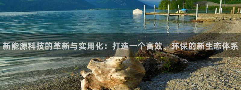 新宝gg注册 776317:新能源科技的革新与实用化:打造一