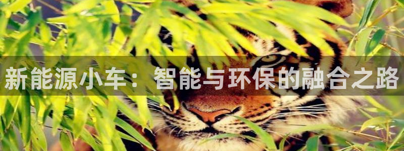 旧版新宝GG:新能源小车:智能与环保的融合之路