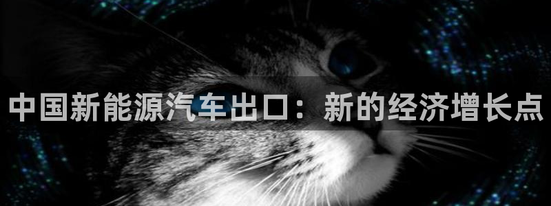 新宝GG耳78778:中国新能源汽车出口:新的经济增长点