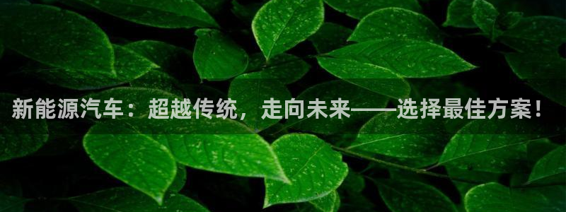 新宝亚洲GG:新能源汽车:超越传统,走向未来——选择最佳方案
