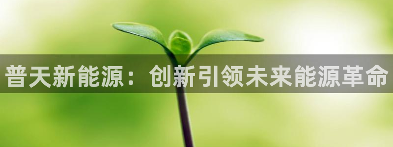 宝新gg:普天新能源:创新引领未来能源革命