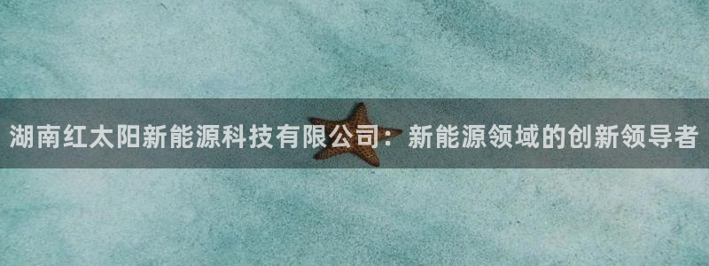 新宝时gg:湖南红太阳新能源科技有限公司:新能源领域的创新领