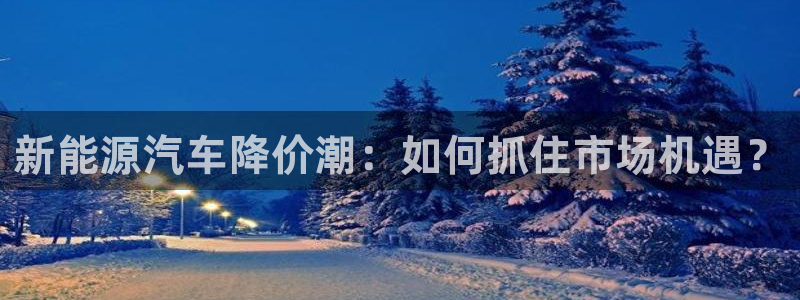 新宝gg类似:新能源汽车降价潮:如何抓住市场机遇?