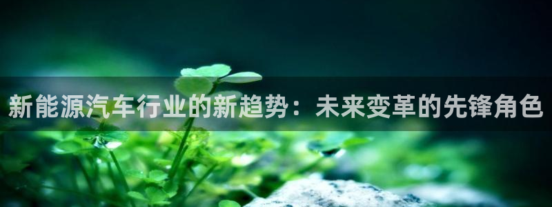 新宝GG耳78778:新能源汽车行业的新趋势:未来变革的先锋
