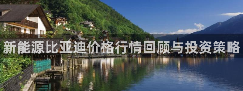 谁有新宝GG:新能源比亚迪价格行情回顾与投资策略