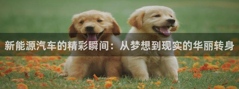 新宝gg娱乐主管q42873:新能源汽车的精彩瞬间:从梦想到