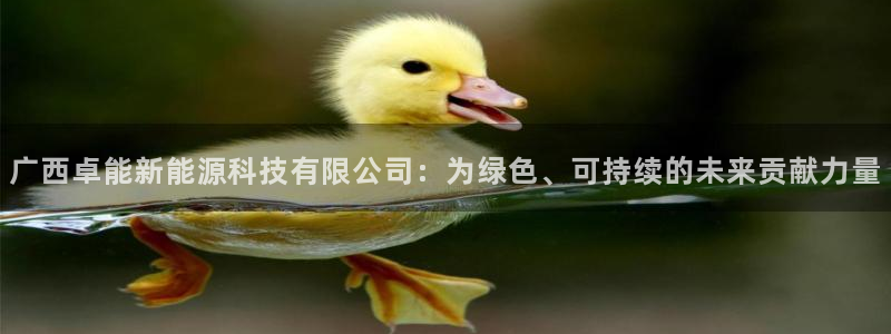 新宝GG啦78778:广西卓能新能源科技有限公司:为绿色、可