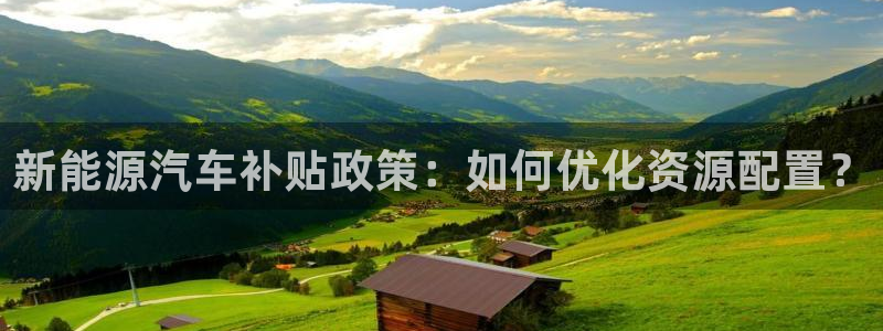 新宝GG电话:新能源汽车补贴政策:如何优化资源配置?