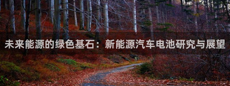 新宝gg招商42873:未来能源的绿色基石:新能源汽车电池研