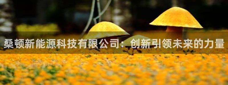 新宝GG柯78778:桑顿新能源科技有限公司:创新引领未来的