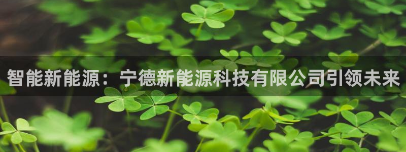 新宝GG最高返点多少：智能新能源：宁德新