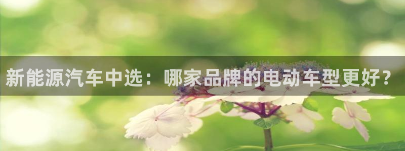 新宝gg登陆新：新能源汽车中选：哪家品牌