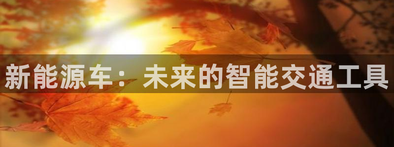 新宝gg 首页:新能源车:未来的智能交通工具