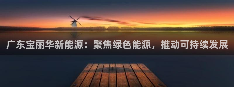 新宝GG绿色：广东宝丽华新能源：聚焦绿色