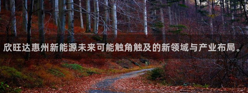 下载新宝gg怎么下载