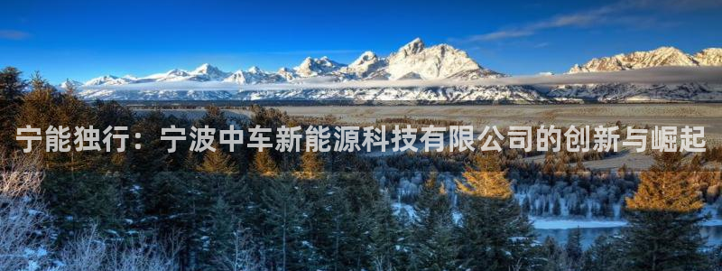 新宝gg创造奇迹下载：宁能独行：宁波中车