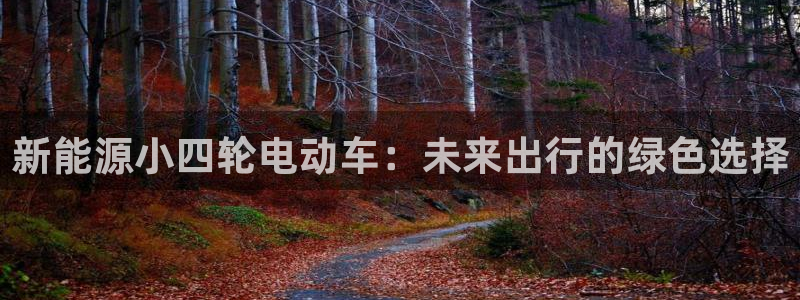 新宝GG用哪个网址登录：新能源小四轮电动