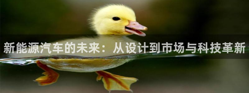 新宝gg如何代理：新能源汽车的未来：从设