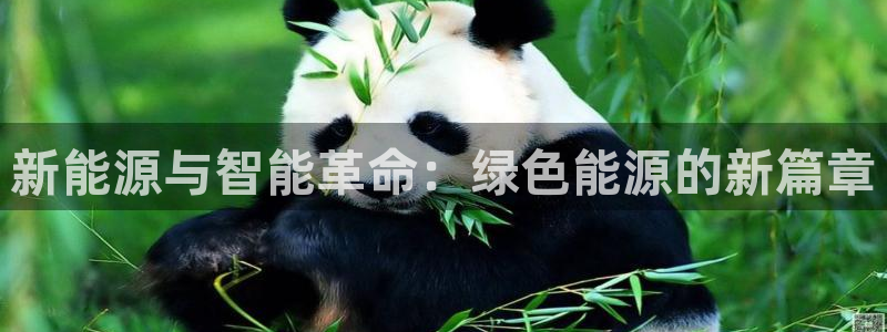 新宝GG以355051：新能源与智能革命