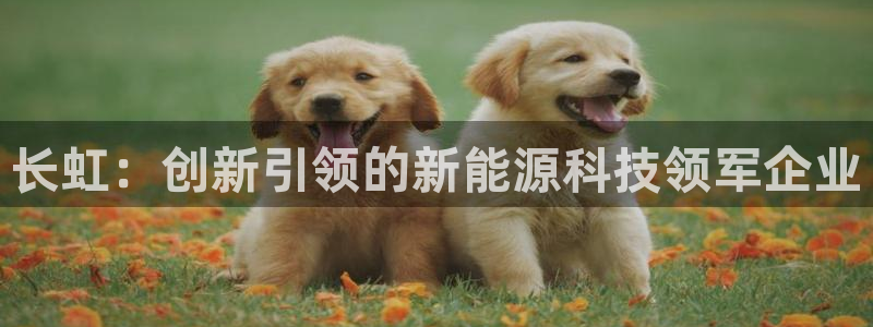 新宝gg直属：长虹：创新引领的新能源科技