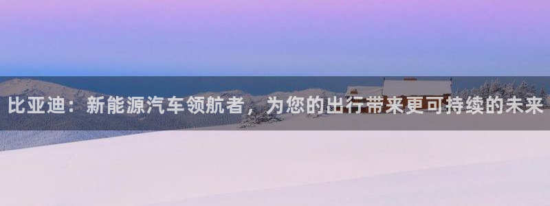 太阳gg和新宝gg：比亚迪：新能源汽车领
