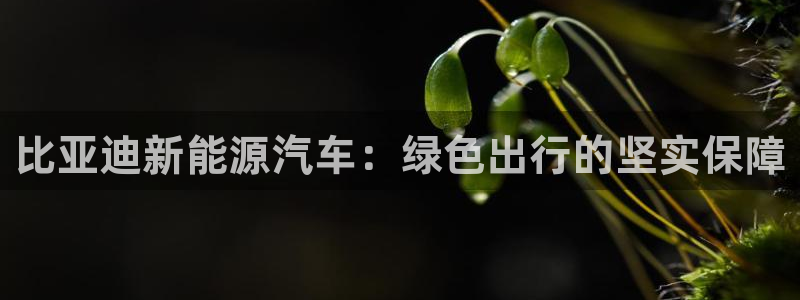 新宝gg有假吗：比亚迪新能源汽车：绿色出