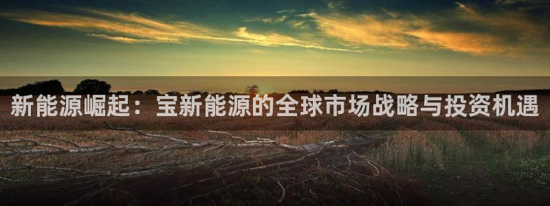 新宝gg平台怎么样：新能源崛起：宝新能源