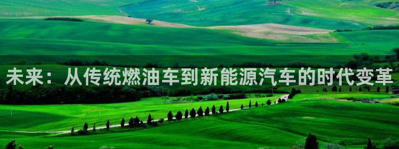 新宝gg手机官网登录：未来：从传统燃油车