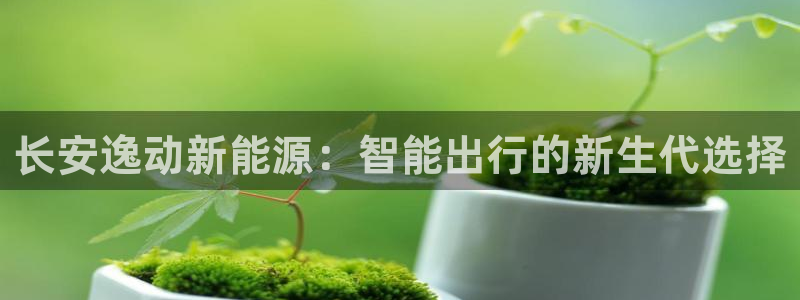新宝gg干嘛：长安逸动新能源：智能出行的
