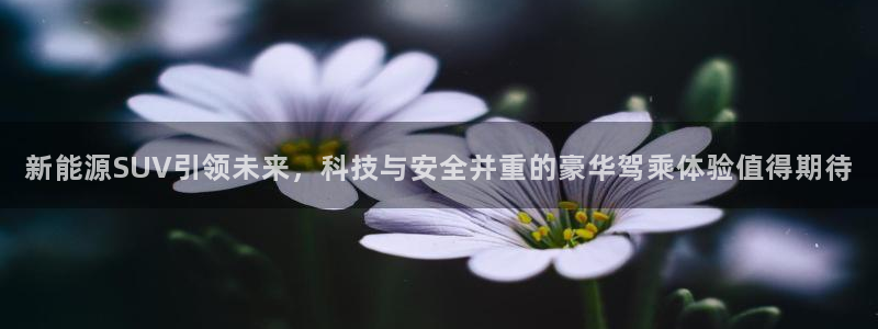新宝gg金砖彩票：新能源SUV引领未来，