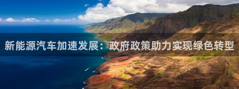 新宝gg博彩：新能源汽车加速发展：政府政