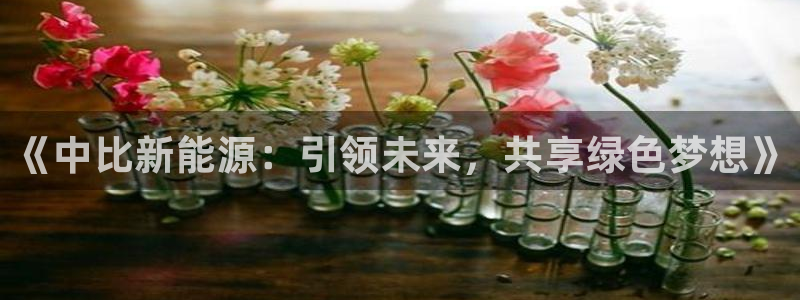 新宝gg 198：《中比新能源：引领未来