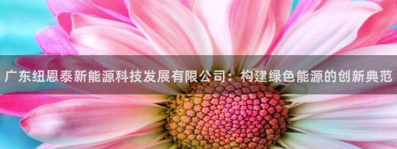 新宝gg 039：广东纽恩泰新能源科技发