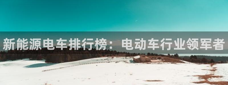 新宝gg平台开发：新能源电车排行榜：电动