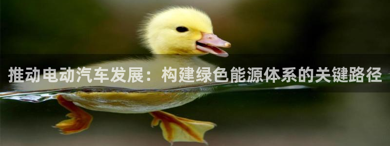 新宝gg提点：推动电动汽车发展：构建绿色