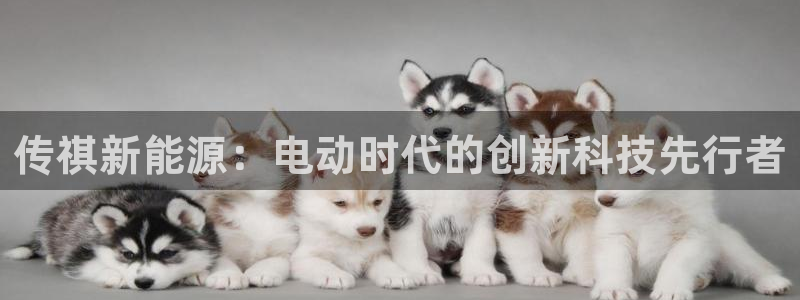 新宝gg龙虎：传祺新能源：电动时代的创新