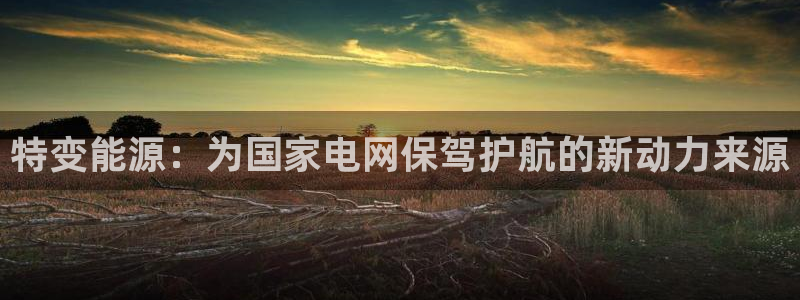 新宝gg盈亏：特变能源：为国家电网保驾护