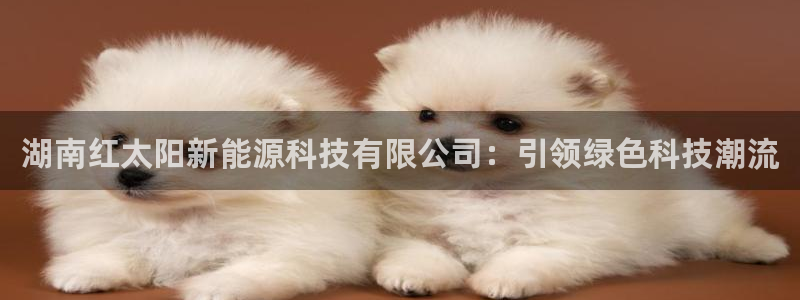 新宝gg传奇：湖南红太阳新能源科技有限公