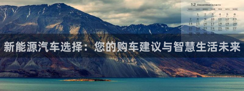 新宝gg客服电话：新能源汽车选择：您的购