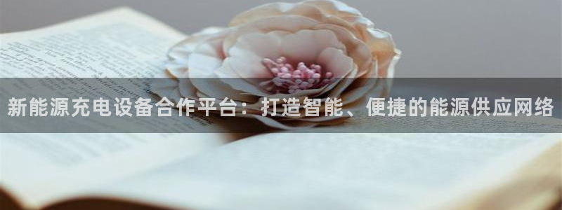 新宝gg登录宝：新能源充电设备合作平台：