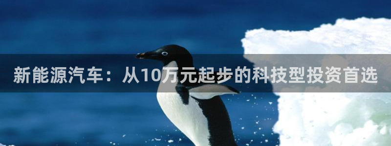 新宝gg助手：新能源汽车：从10万元起步