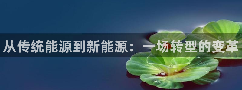 新宝gg好吗：从传统能源到新能源：一场转