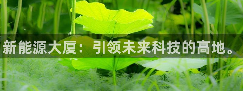 新宝gg公司：新能源大厦：引领未来科技的